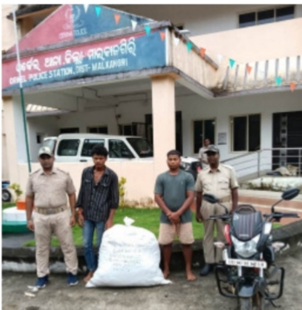୨୬ କିଲୋ ଗଞ୍ଜେଇ ସହ ବାଇକ ଜବତ, ଦୁଇ ଗିରଫ
