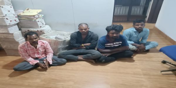 ପରକ୍ରିୟା ପ୍ରୀତି ସନ୍ଦେହରେ କଙ୍ଗାରୁ କୋର୍ଟ, ବିଦ୍ୟୁତ ଖୁଣ୍ଟରେ ବାନ୍ଧି ସଂଘବଦ୍ଧ ଆକ୍ରମଣ