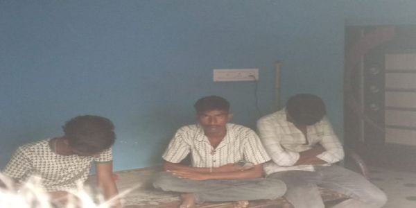 ୩ ଛେଳି ଚୋରକୁ ବିଳମ୍ବିତ ରାତିରେ କାବୁ କଲେ ଗ୍ରାମବାସୀ
