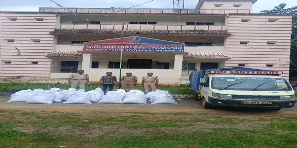 ୬୫୦କେଜି ଗଞ୍ଜେଇ ଜବତ ଜଣେ ଗିରଫ