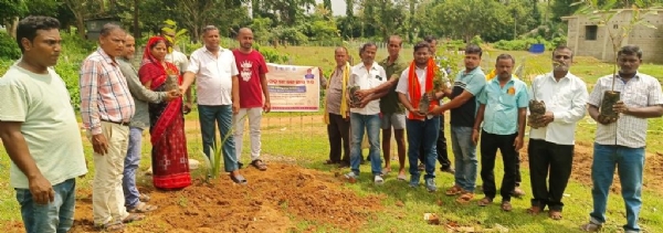 DHAMNAGAR BLOCK CHARA ROPAN