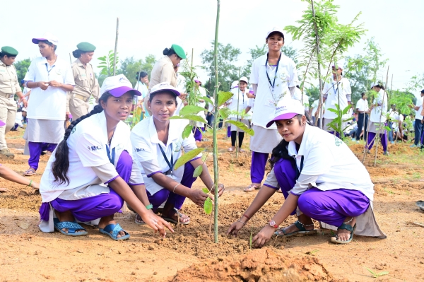 ସୈନିକ ସ୍କୁଲ ପରିସରରେ ବୃକ୍ଷରୋପଣ କାର୍ଯ୍ୟକ୍ରମ
