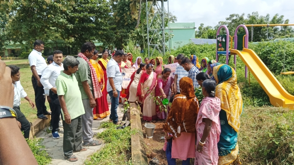 ପିତ୍ତଳ ପଞ୍ଚାୟତ ପକ୍ଷରୁ ବୃକ୍ଷ ରୋପଣ କାର୍ଯ୍ୟକ୍ରମ