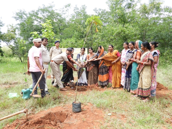 ଚନ୍ଦନଭାଟିସ୍ଥିତ ସୁଦାମ ଚରଣ ଡିଗ୍ରୀ କଲେଜରେ ମାଁ_ପାଇଁ_ଗଛ_ଟିଏ ବୃକ୍ଷରୋପଣ କାର୍ଯ୍ୟକ୍ରମ ପାଳିତ