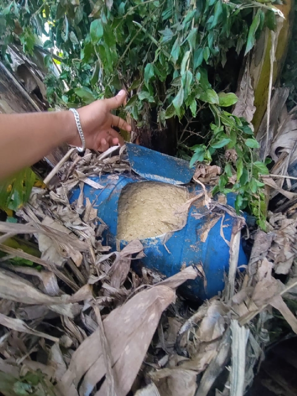 କଳାଗୁଡା  ଜଙ୍ଗଲରେ ଅବକାରି ଚଡାଉ