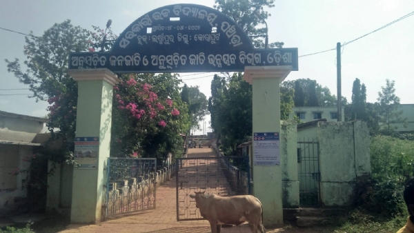 ଆଶ୍ରମ ବିଦ୍ୟାଳୟର ଛାତ୍ରକୁ ଗୋଡ଼ ହାତ ବାନ୍ଧି ନିଜ ସାଥୀ ଛାତ୍ର ମାନେ ରକ୍ତାକ୍ତ କରି ବାଡ଼େଇ ବାଡ଼େଇ।