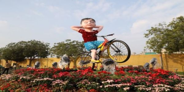 ଅହମ୍ମଦାବାଦ ଅନ୍ତର୍ଜାତୀୟ ଫୁଲ ପ୍ରଦର୍ଶନୀ-୨୦୨୬ ଉଦ୍ଘାଟିତ