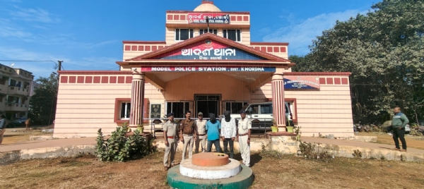 ବ୍ରାଉନ ସୁଗାର୍