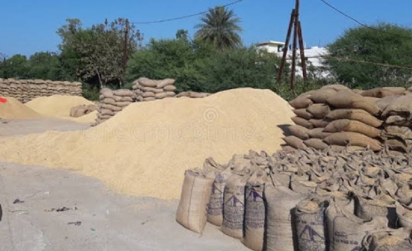 ଜିଲ୍ଲାରେ ଧାନ କ୍ରୟ ରେ ଚଞ୍ଚକତା ଅଭିଯୋଗ