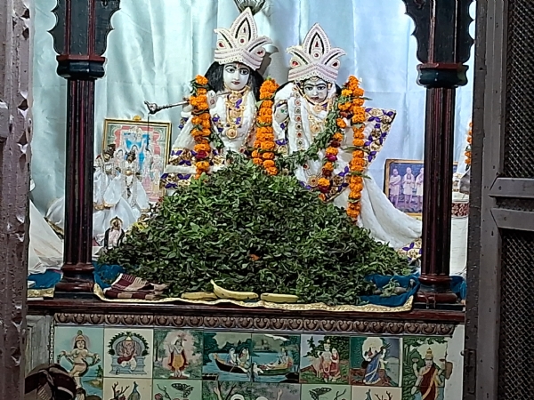 ରାଧାକୃଷ୍ଣ ମନ୍ଦିର ରେ ମକର ସଂକ୍ରାନ୍ତି ଏକାଦଶୀ ପୂଜନ ତୁଳସୀ ଅର୍ପଣ