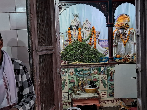 ରାଧାକୃଷ୍ଣ ମନ୍ଦିର ରେ ମକର ସଂକ୍ରାନ୍ତି ଏକାଦଶୀ ପୂଜନ ତୁଳସୀ ଅର୍ପଣ