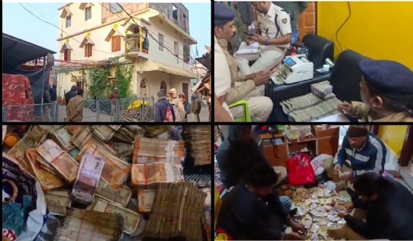 most wanted go mafia