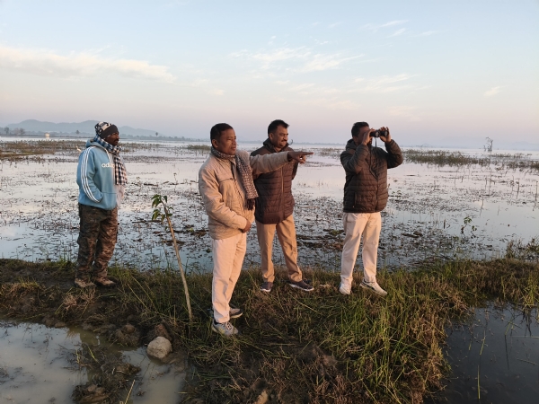 Bibhinna jalasayare pakhi ganana