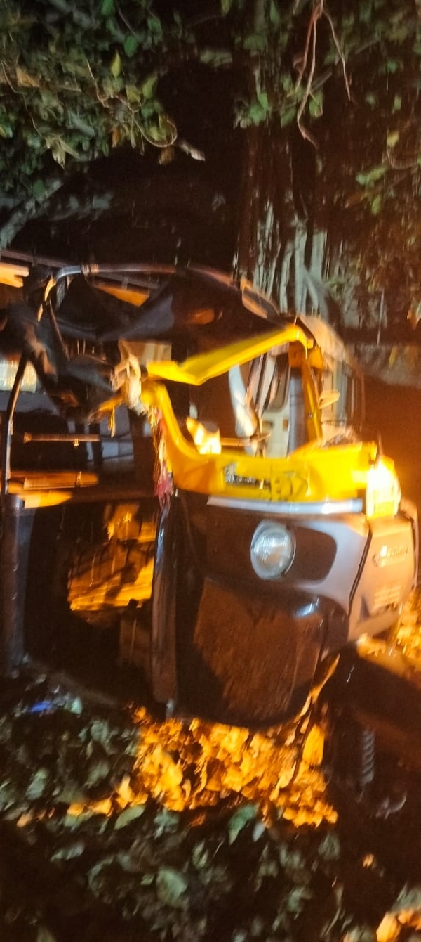 ଅତ୍ୟଧିକ ମଦ୍ୟାପାନ ଗଛରେ ପିଟିଲା ଅଟୋ