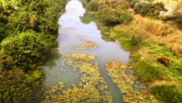 DHAMNAGAR NADI SANSKAR