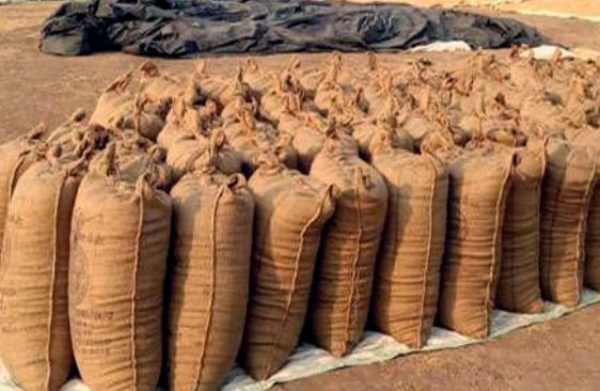 BHADRAK ZILLA RE SARAKAR CHASIRA DHANA KINANTU