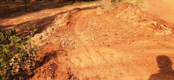 DHAMNAGAR AREA BALI MAFIA SAKRIYA