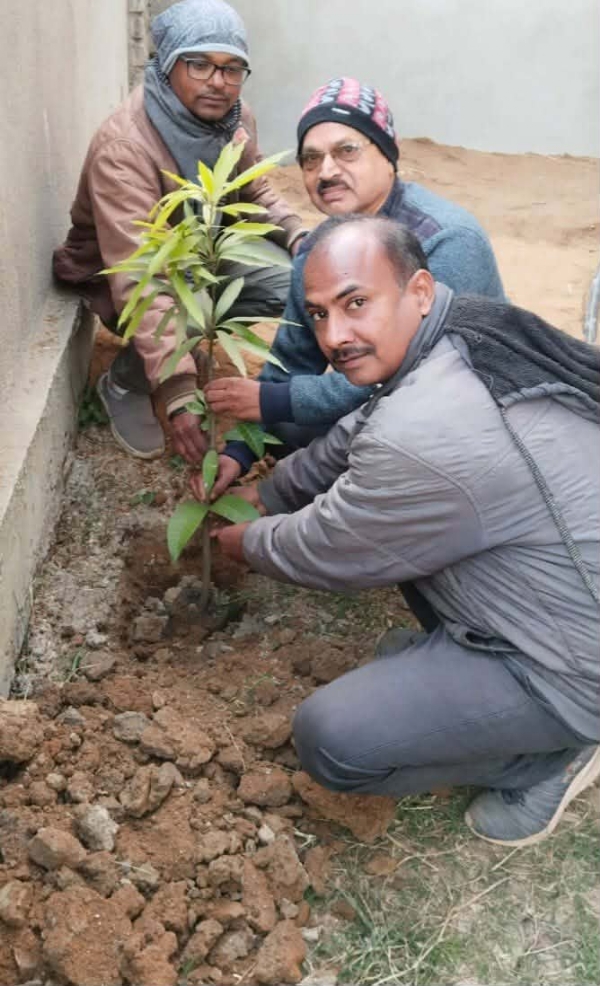 ସତସଙ୍ଗ କେନ୍ଦ୍ର ମହୁଲଡିହାଁ ରାଇରଙ୍ଗପୁର ପକ୍ଷରୁ ବୃକ୍ଷରୋପଣ କାର୍ଯ୍ଯକ୍ରମ ସତସଙ୍ଗ କେନ୍ଦ୍ର ମହୁଲଡିହାଁ ରାଇରଙ୍ଗପୁର ପକ୍ଷରୁ ବୃକ୍ଷରୋପଣ କାର୍ଯ୍ଯକ୍ରମ