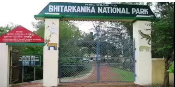 କୁମ୍ଭୀର ଗଣନା ପାଇଁ     କାଲିଠୁ ବନ୍ଦ ରହିବ ଭିତରକନିକା ଜାତୀୟ ଉଦ୍ୟାନ