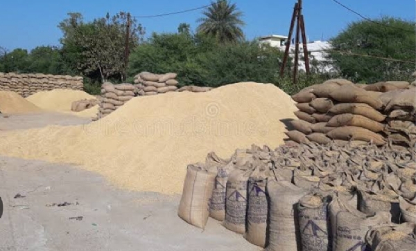 ଚାଷୀଙ୍କ ଦୁଃଖ ଗଲା, ଆଜିଠୁ ସ୍ବାଭାବିକ ହେଲା ଧାନକିଣା