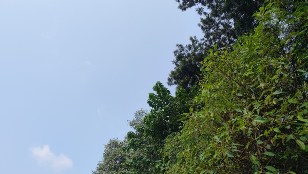ଉତରାଖଣ୍ଡର ପାର୍ବତ୍ୟାଚଂଳରେ ବର୍ଷା, ତୁଷାରପାତ ସମ୍ଭାବନା; ସମତଳ ଜିଲ୍ଲାରେ ଶୁଖିଲା ପାଗ ଉତରାଖଣ୍ଡର ପାର୍ବତ୍ୟାଚଂଳରେ ବର୍ଷା, ତୁଷାରପାତ ସମ୍ଭାବନା; ସମତଳ ଜିଲ୍ଲାରେ ଶୁଖିଲା ପାଗ