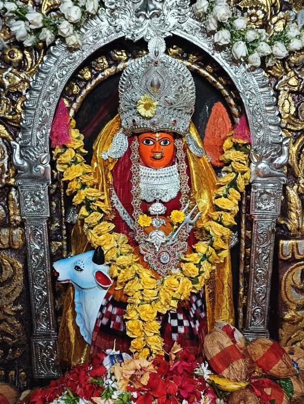 ଶାରଦୀୟ ନବରାତ୍ର ପୂଜାପ୍ରଥମ ଦିନରେ  ମା ସମଲେଶ୍ବରୀ ଶୈଳପୁତ୍ରୀ ବେଶରେ ଦର୍ଶନ