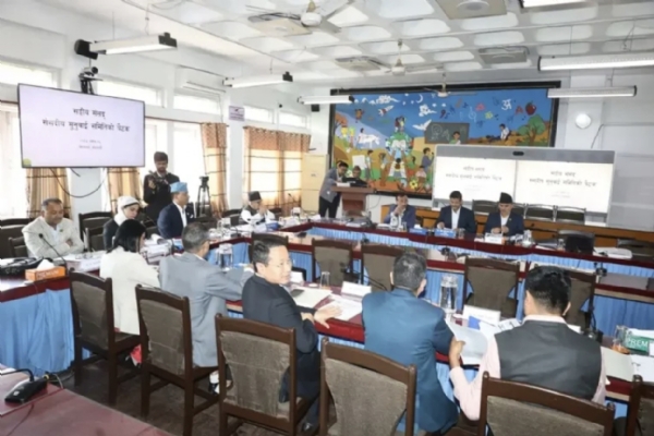 प्रस्तावित राजदूत की संसदीय सुनवाइ प्रस्तावित राजदूत की संसदीय सुनवाइ