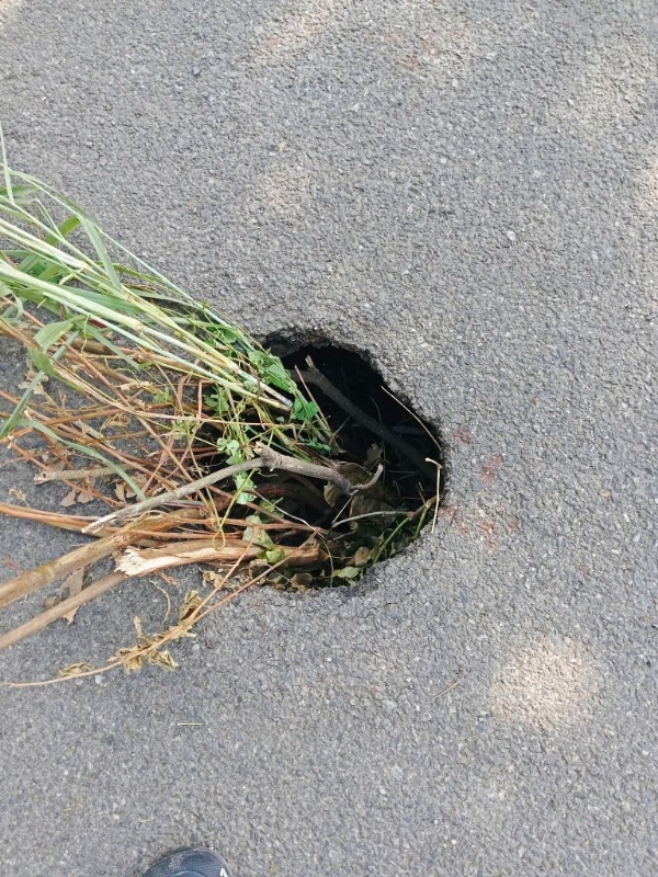 DHAMNAGAR CHUDAKUTI RASTA MARANJANTA