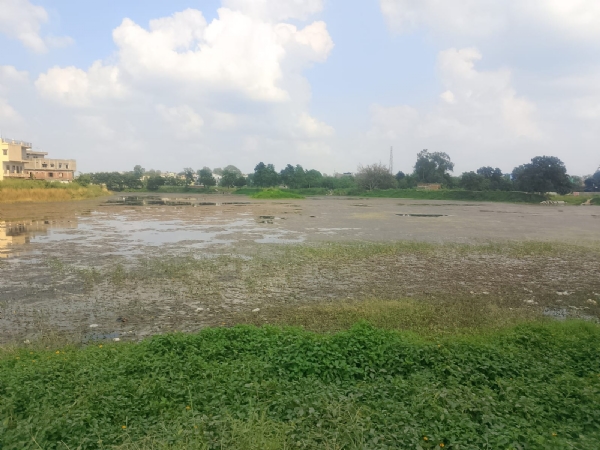 ଅବହେଳାର ଶିକାର ଭୁଲିଆପଡ଼ା ପୋଖରୀ,