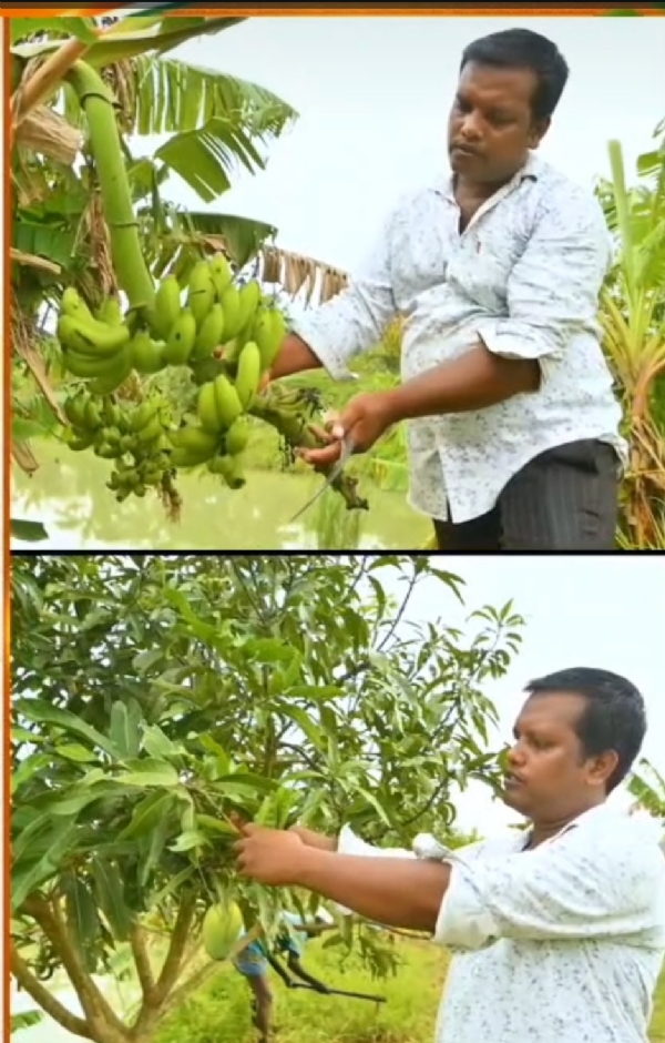 ଉଦ୍ୟାନ କୃଷି ରେ ଅଭିମନ୍ୟୁ ସୃଷ୍ଟି କରିଛନ୍ତି ନୂଆ ପରିଚୟ।