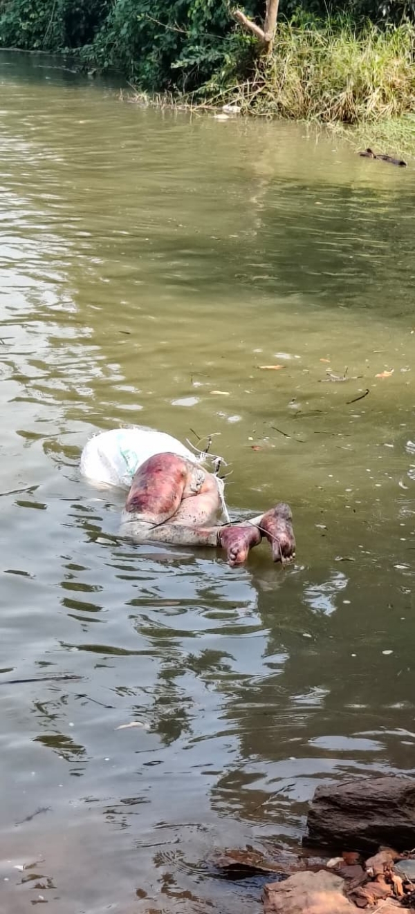 ନଦୀ କୂଳରୁ ମହିଳାଙ୍କ ମୃତଦେହ ଉଦ୍ଧାର, ହତ୍ୟା ସନ୍ଦେହ ନଦୀ କୂଳରୁ ମହିଳାଙ୍କ ମୃତଦେହ ଉଦ୍ଧାର, ହତ୍ୟା ସନ୍ଦେହ