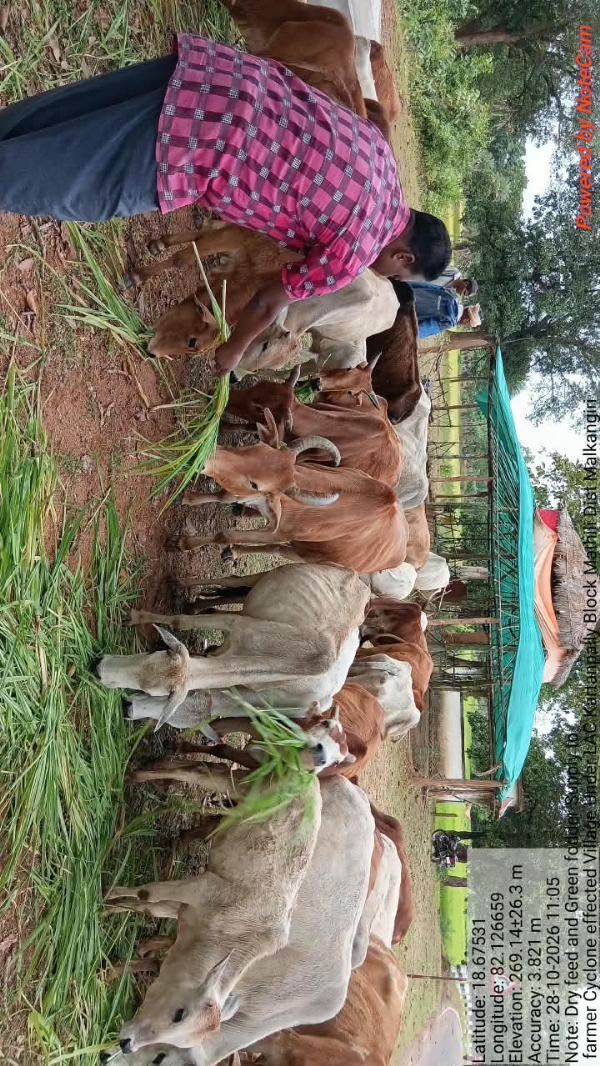 ଘୂର୍ଣ୍ଣିଝଡ଼ ‘ଅର୍ଣ୍ଣବ’ ମୁକାବିଲା ପାଇଁ ପ୍ରସ୍ତୁତି, ବିଭିନ୍ନ ଆଶ୍ରୟସ୍ଥଳରେ ଖାଦ୍ୟ ବ୍ୟବସ୍ଥା ଘୂର୍ଣ୍ଣିଝଡ଼ ‘ଅର୍ଣ୍ଣବ’ ମୁକାବିଲା ପାଇଁ ପ୍ରସ୍ତୁତି, ବିଭିନ୍ନ ଆଶ୍ରୟସ୍ଥଳରେ ଖାଦ୍ୟ ବ୍ୟବସ୍ଥା