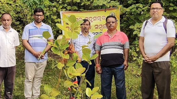 ଲକ୍ଷ୍ମୀ ଡୁଙ୍ଗୁରିରେ ୧୧ ତମ ସମର୍ପଣ ଉତ୍ସବ : ପଶ୍ଚିମ ଓଡ଼ିଶାର ବୌଦ୍ଧ ପୀଠ ସମନ୍ୱୟ ରକ୍ଷା ଆଲୋଚନା ଚକ୍ର ଲକ୍ଷ୍ମୀ ଡୁଙ୍ଗୁରିରେ ୧୧ ତମ ସମର୍ପଣ ଉତ୍ସବ : ପଶ୍ଚିମ ଓଡ଼ିଶାର ବୌଦ୍ଧ ପୀଠ ସମନ୍ୱୟ ରକ୍ଷା ଆଲୋଚନା ଚକ୍ର