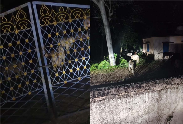 RI OFFICE RE SANDHA VARTI KALE GRAMABASI