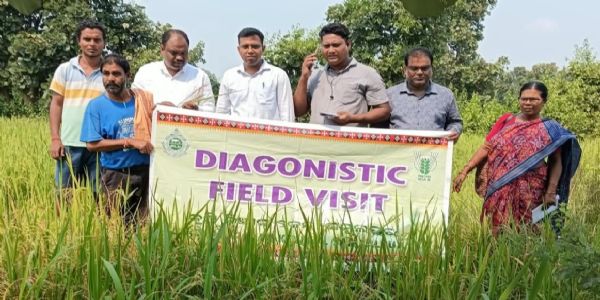 କୃଷି ବିଜ୍ଞାନ ବିଭାଗର କ୍ଷେତ୍ର ପରିଦର୍ଶନ