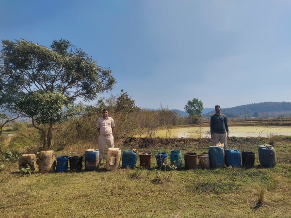 ଗଡପଦର ଜଙ୍ଗଲରେ  ଅବକାରି ଚଢାଉ