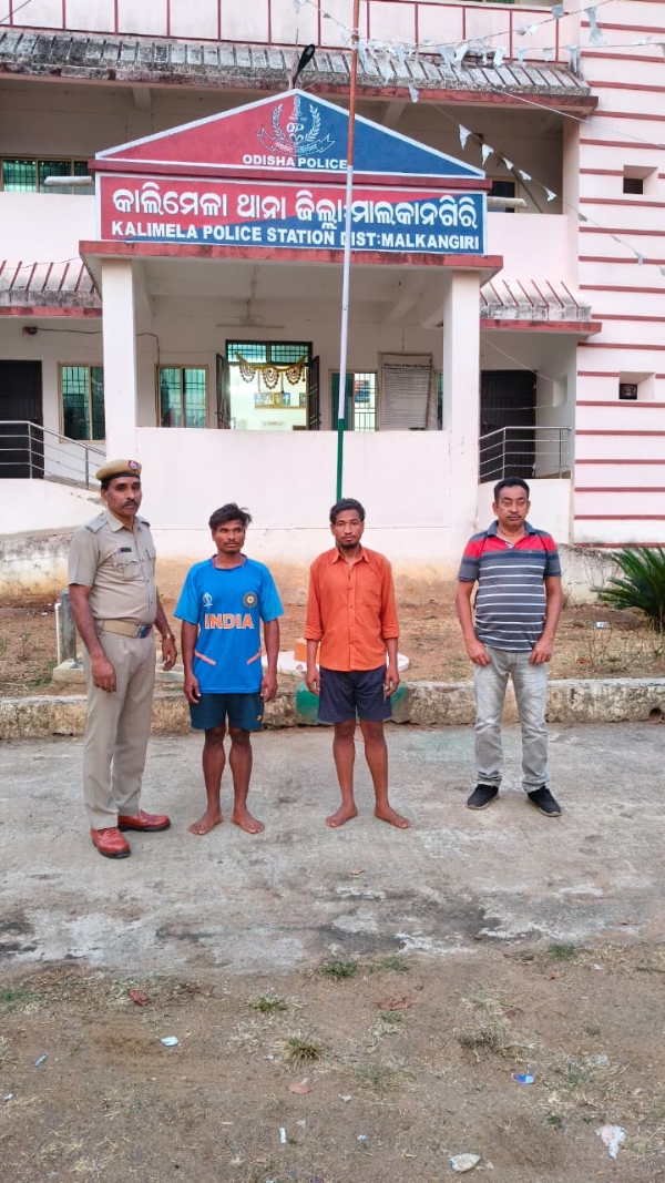 କାଲିମେଳା ପୋଲିସ ଦ୍ୱାରା ୩୭୫ କି ଗ୍ରା ଗଞ୍ଜେଇ ଜବତ, ୨ ଗିରଫ