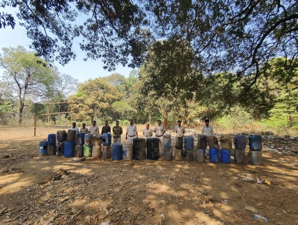 ନିଳାଗୁଡା ଜଙ୍ଗଲରେ  ଅବକାରି ଚଢାଉ