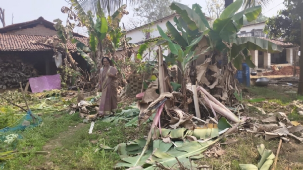 ଚାଷୀ ହତାଶ : ବନ ବିଭାଗ ପକ୍ଷରୁ ମିଳିପାରୁନି ଉପଯୁକ୍ତ କ୍ଷତିପୂରଣ