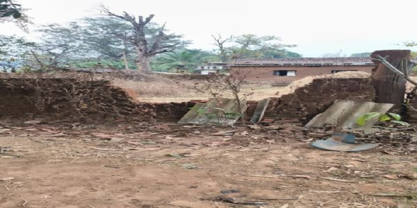 ଚାଷୀ ହତାଶ : ବନ ବିଭାଗ ପକ୍ଷରୁ ମିଳିପାରୁନି ଉପଯୁକ୍ତ କ୍ଷତିପୂରଣ