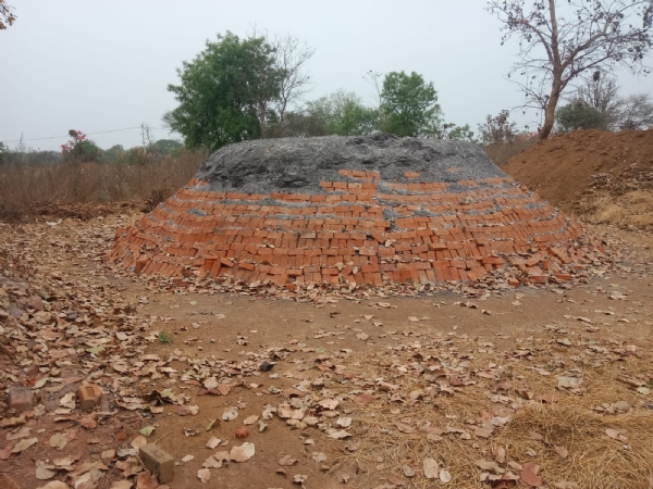 ମୁରିବାହାଲ ରେ ମାଳ ମାଳ ବେଆଇନ ଇଟାଭାଟି  ଜଙ୍ଗଲ କାଠ ରେ ଜଳୁଛି ଭାଟି, ପ୍ରଶାସନ ଚୁପ୍