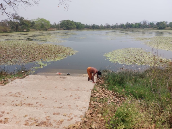 ଗାଁ ପୋଖରୀ ସଫା ଓ ବୃକ୍ଷରୋପଣ 
