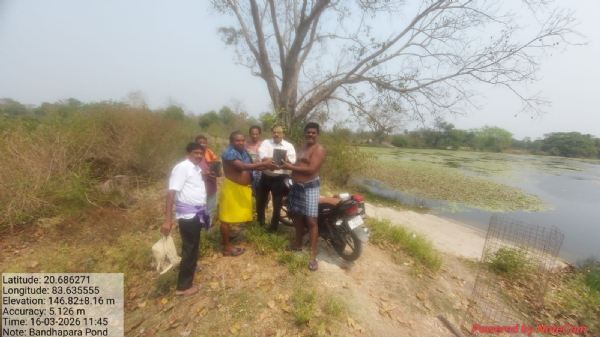 ଗାଁ ପୋଖରୀ ସଫା ଓ ବୃକ୍ଷରୋପଣ 