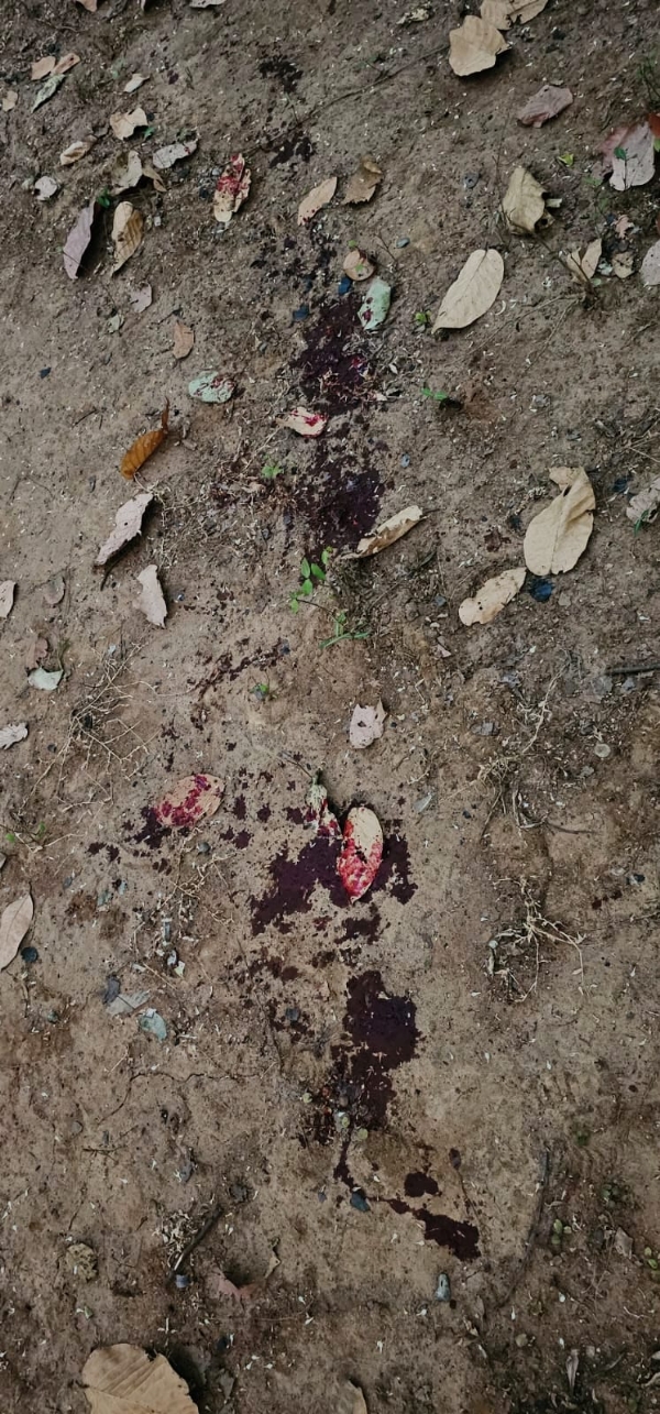 ହାର୍ଡକୋର ଅପରାଧୀ ଟିମା ଝଙ୍କାର ପୁଲିସ ଏନକାଉଣ୍ଟରରେ  ଆହତ, ୩ ସହଯୋଗୀ ଗିରଫ