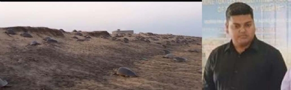 OLIVE RIDELE ANDA DANA BADHAK JALABAYU PARIBARTAN