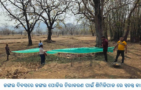 ଜଙ୍ଗଲ ଦିବସରେ ଜଙ୍ଗଲ ପୋଡିର ନିରାକରଣ ପାଇଁ ଶିମିଳିପାଳ ରେ ସ୍ୱତନ୍ତ୍ର କାର୍ଯ୍ୟକ୍ରମ