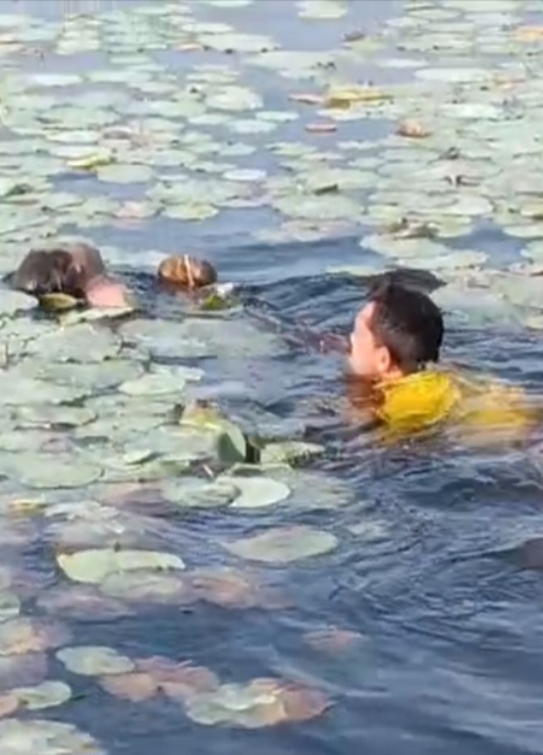 ପୋଖରୀରୁ ମହିଳାଙ୍କ ସନ୍ଦେହଜନକ ମୃତଦେହ ଉଦ୍ଧାର