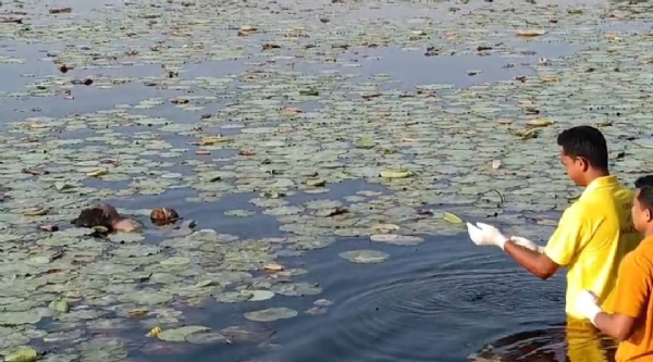 ପୋଖରୀରୁ ମହିଳାଙ୍କ ସନ୍ଦେହଜନକ ମୃତଦେହ ଉଦ୍ଧାର