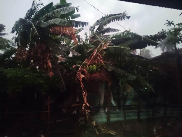 CHANDBALI KALABAISAKHI TANDAB