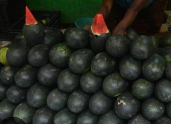 ଭୋକ-ଶୋଷ ମେଣ୍ଟାଉଛି  ତରଭୁଜ